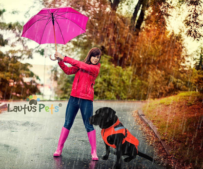 Waterproof Dog Rain Coat, Reflective Safety Strips & Leash Hole – Lightweight Adjustable Jacket for Medium Breeds - L, Yellow