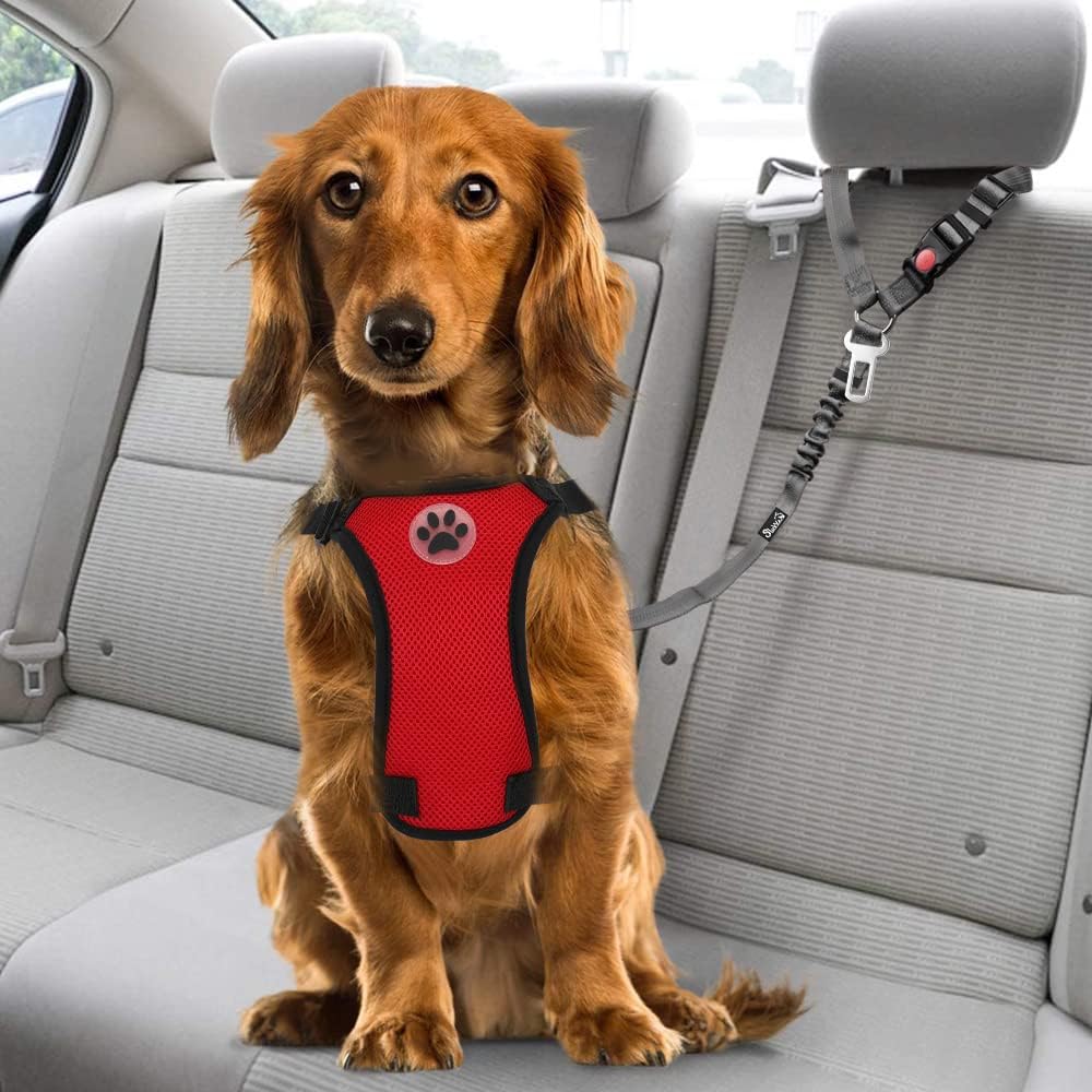 Dog Seat Belt for Car, 2 Pack Dog Car Harness Seatbelt with Bungee | 2 in 1 Pet Car Leash Headrest Restraint & Dog Safety Tether Clip, Adjustable with Elastic Buffer, Reflective, Black M/L