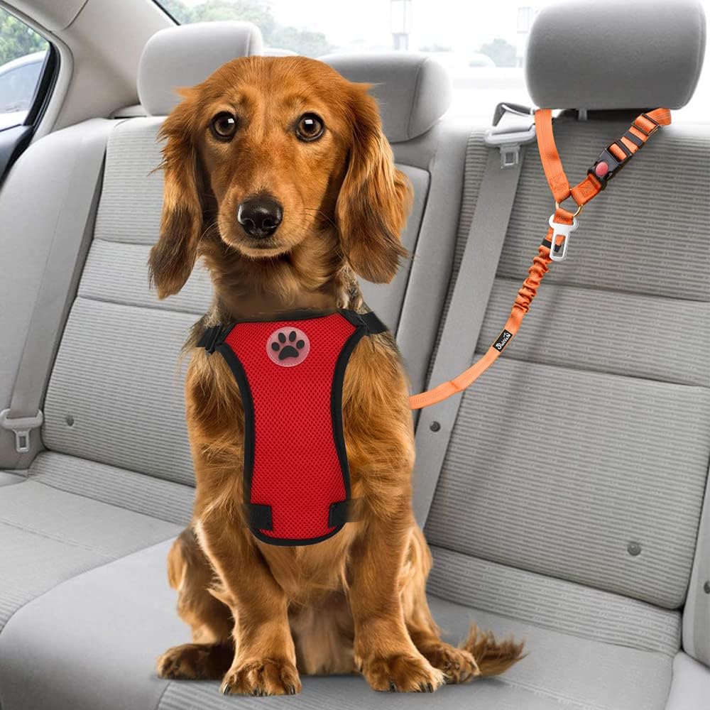 Dog Seat Belt for Car, 2 Pack Dog Car Harness Seatbelt with Bungee | 2 in 1 Pet Car Leash Headrest Restraint & Dog Safety Tether Clip, Adjustable with Elastic Buffer, Reflective, Black M/L