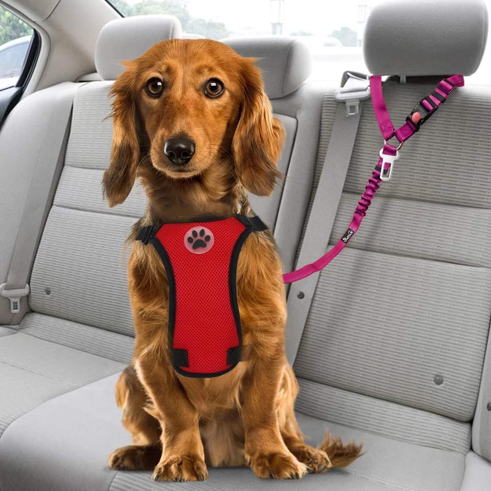 Dog Seat Belt for Car, 2 Pack Dog Car Harness Seatbelt with Bungee | 2 in 1 Pet Car Leash Headrest Restraint & Dog Safety Tether Clip, Adjustable with Elastic Buffer, Reflective, Black M/L