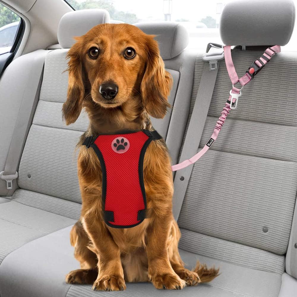 Dog Seat Belt for Car, 2 Pack Dog Car Harness Seatbelt with Bungee | 2 in 1 Pet Car Leash Headrest Restraint & Dog Safety Tether Clip, Adjustable with Elastic Buffer, Reflective, Black M/L