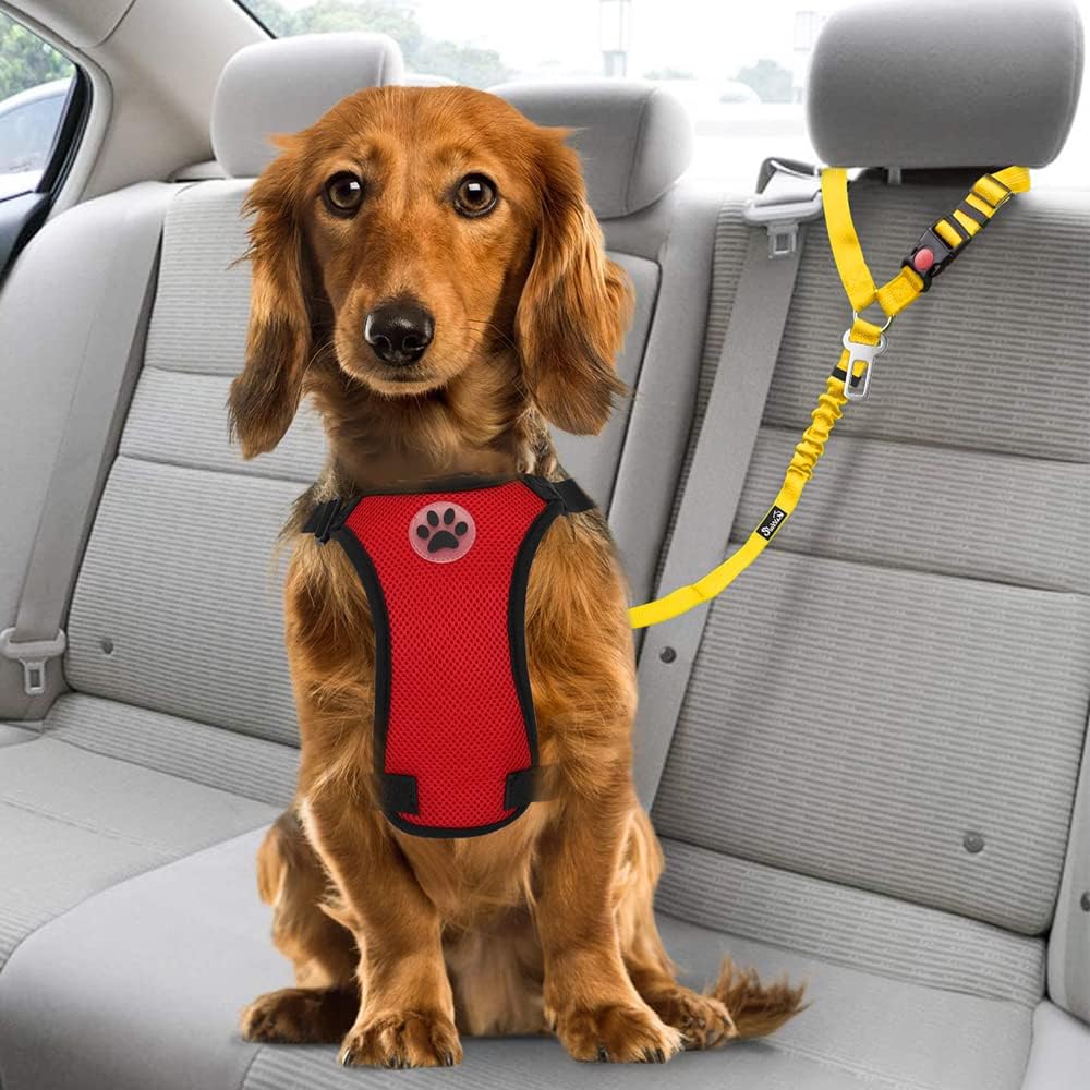 Dog Seat Belt for Car, 2 Pack Dog Car Harness Seatbelt with Bungee | 2 in 1 Pet Car Leash Headrest Restraint & Dog Safety Tether Clip, Adjustable with Elastic Buffer, Reflective, Black M/L