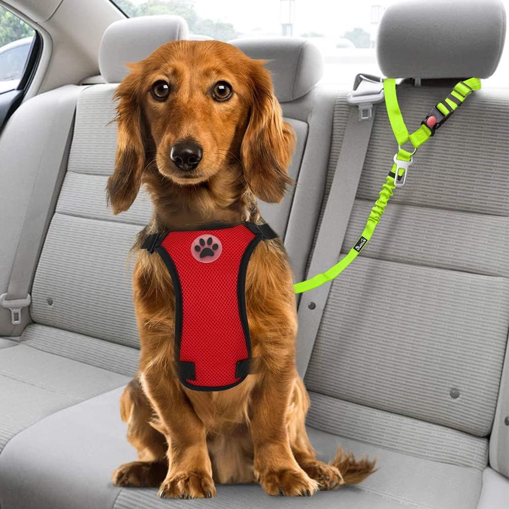 Dog Seat Belt for Car, 2 Pack Dog Car Harness Seatbelt with Bungee | 2 in 1 Pet Car Leash Headrest Restraint & Dog Safety Tether Clip, Adjustable with Elastic Buffer, Reflective, Black M/L
