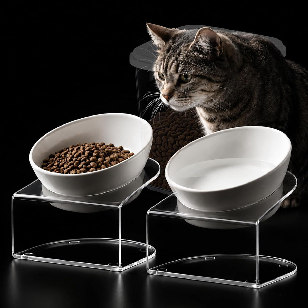 Dog Food Storage Container 10 Lbs