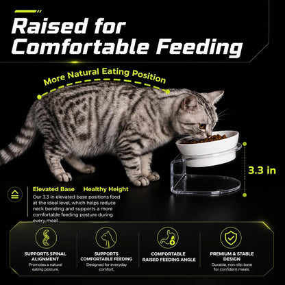 Dog Food Storage Container 10 Lbs