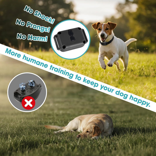 Lightest No Shock Dog Training Collar with 2000ft Remote,Tiniest Vibrating Dog Collar,Vibration Collar for Small Dogs 5-15lbs & Medium Large Dogs, Safe Lock, Beep, Vibrate, No Prongs, Waterproof,Pink
