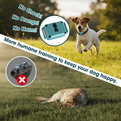 Lightest No Shock Dog Training Collar with 2000ft Remote,Tiniest Vibrating Dog Collar,Vibration Collar for Small Dogs 5-15lbs & Medium Large Dogs, Safe Lock, Beep, Vibrate, No Prongs, Waterproof,Pink