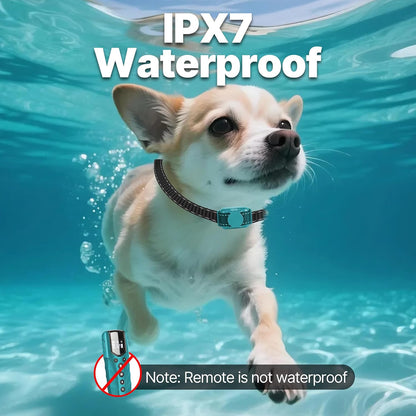 Lightest No Shock Dog Training Collar with 2000ft Remote,Tiniest Vibrating Dog Collar,Vibration Collar for Small Dogs 5-15lbs & Medium Large Dogs, Safe Lock, Beep, Vibrate, No Prongs, Waterproof,Pink