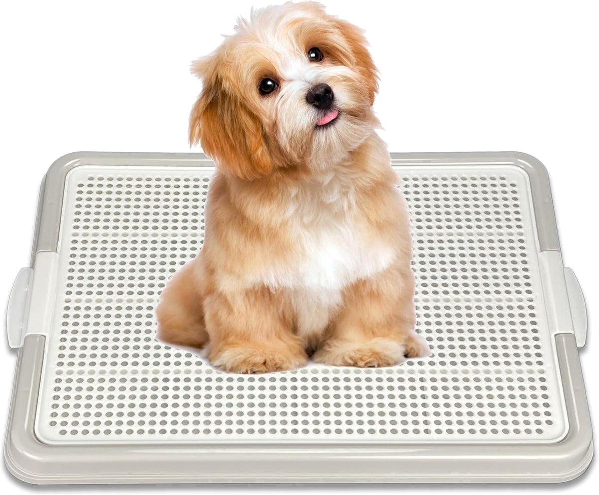 Dog Pee Pad Holder Tray, Puppy Potty Training, 22.5"x16.5", PP Plastic, Snap Lock, 4 Colors (Pink)