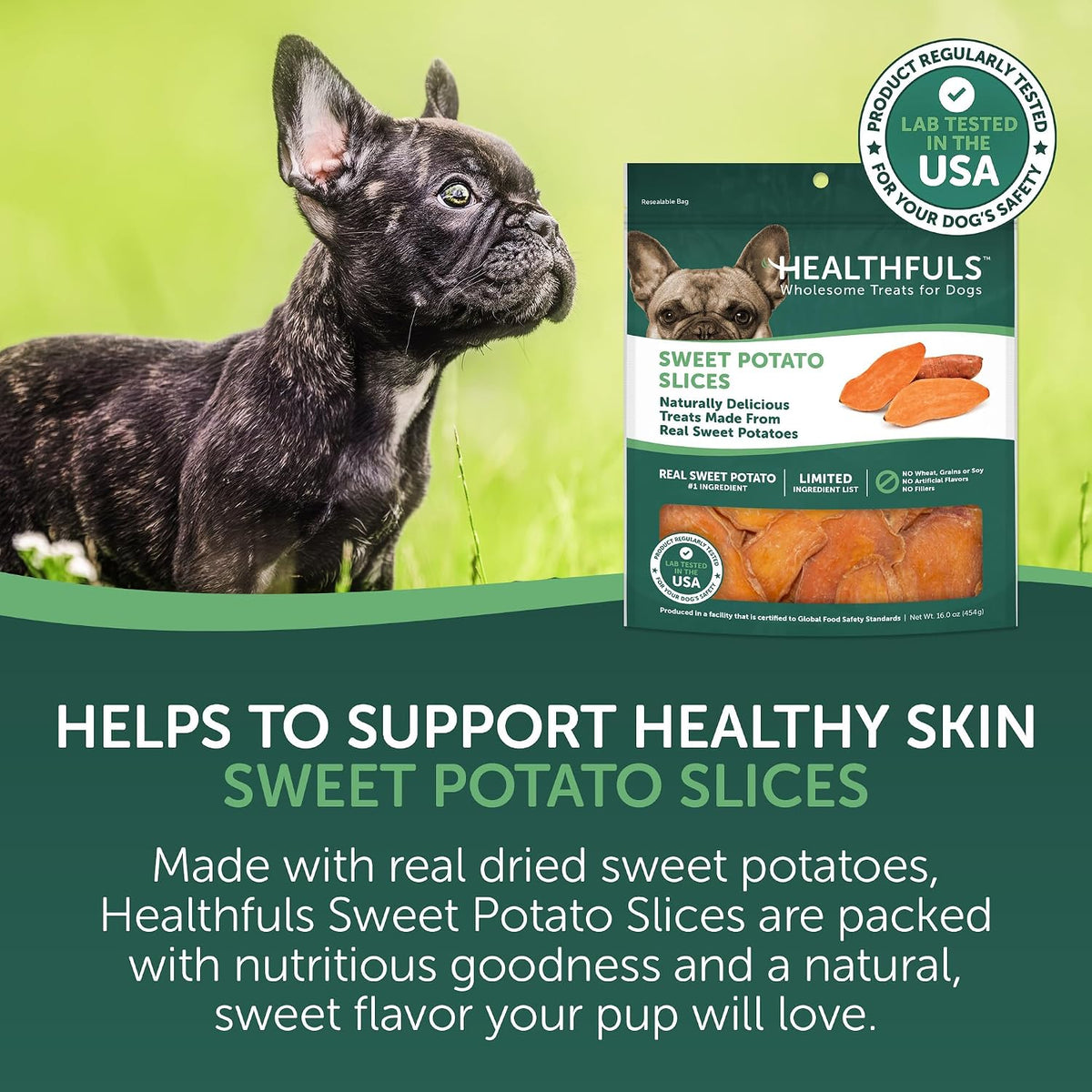 Real Dried Sweet Potato Slices, Grain Free Dog Treats, 16 oz