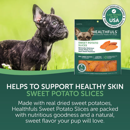 Real Dried Sweet Potato Slices, Grain Free Dog Treats, 16 oz