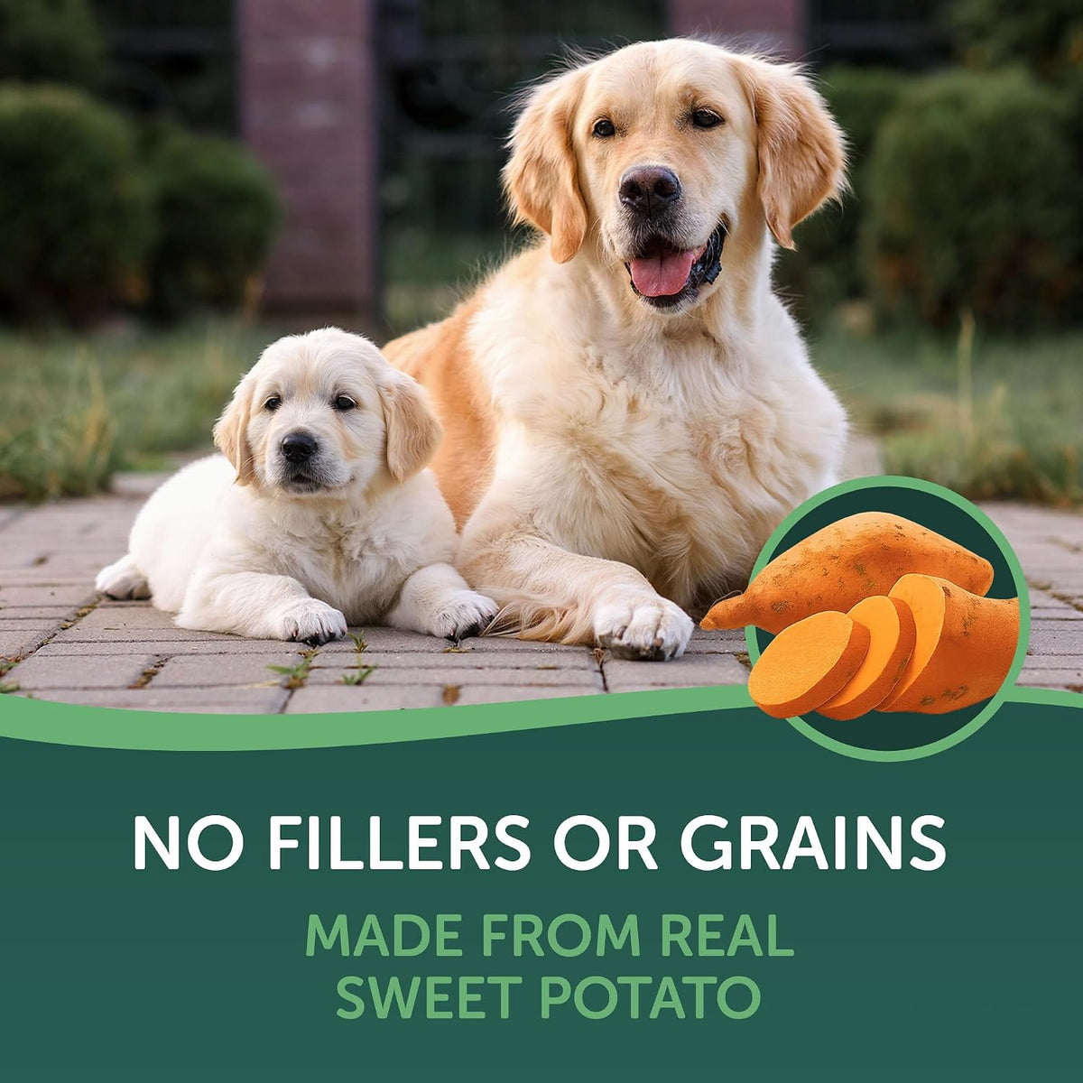 Real Dried Sweet Potato Slices, Grain Free Dog Treats, 16 oz