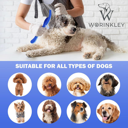 Slicker Brush for Dogs - Long Pin Doodle Grooming Brush, Large | For Goldendoodles, Poodles, Labradoodles & Long-Haired Dogs - Detangles Dense Coats, Removes Knots & Mats and Restores Fluff