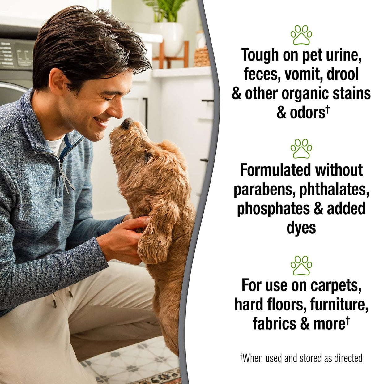 Simply Pet Stain and Odor Remover, 32 oz