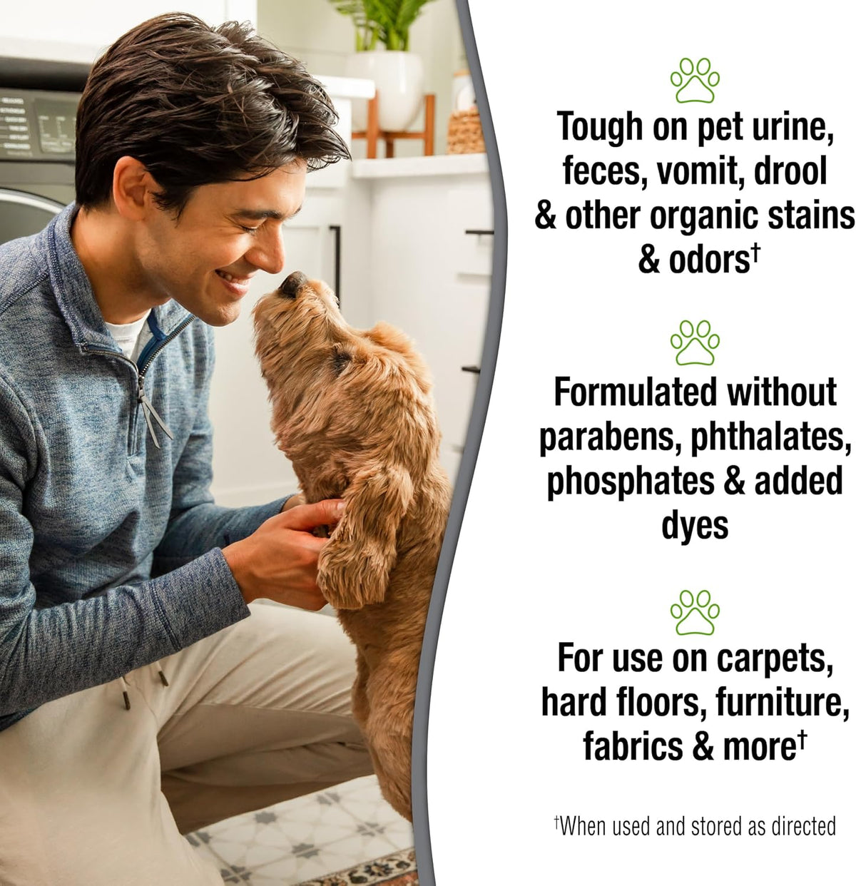 Simply Pet Stain and Odor Remover, 32 oz