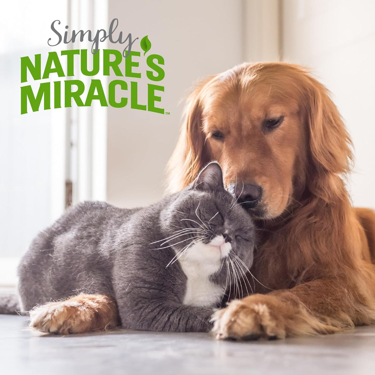 Simply Pet Stain and Odor Remover, 32 oz