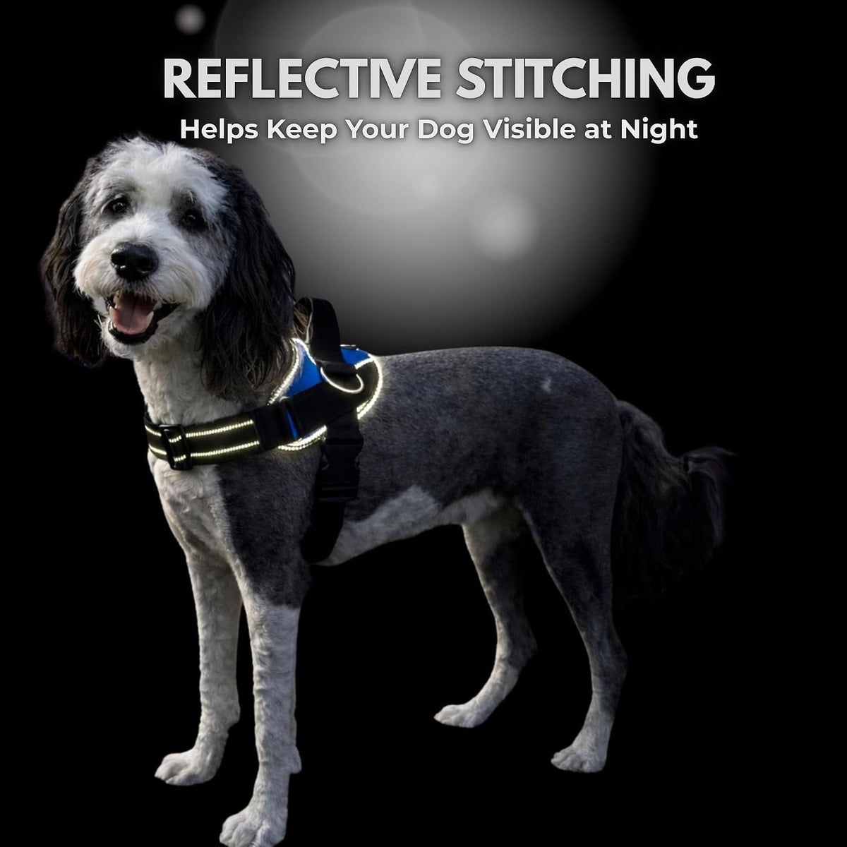 Essential Dog Harness, No-Pull Pet Vest (Oceanic Blue,S) | 3 Leash Clips, Easy On, No-Choke, Reflective, Adjustable Fit, Padded Comfort, Control Handle, For Small, Medium & Large Dogs