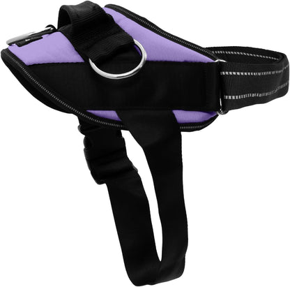Essential Dog Harness, No-Pull Pet Vest (Oceanic Blue,S) | 3 Leash Clips, Easy On, No-Choke, Reflective, Adjustable Fit, Padded Comfort, Control Handle, For Small, Medium & Large Dogs