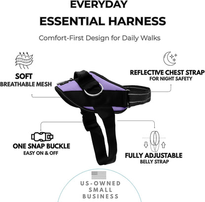 Essential Dog Harness, No-Pull Pet Vest (Oceanic Blue,S) | 3 Leash Clips, Easy On, No-Choke, Reflective, Adjustable Fit, Padded Comfort, Control Handle, For Small, Medium & Large Dogs