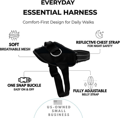 Essential Dog Harness, No-Pull Pet Vest (Oceanic Blue,S) | 3 Leash Clips, Easy On, No-Choke, Reflective, Adjustable Fit, Padded Comfort, Control Handle, For Small, Medium & Large Dogs