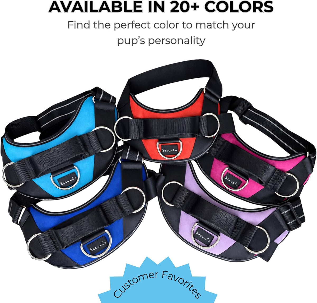 Essential Dog Harness, No-Pull Pet Vest (Oceanic Blue,S) | 3 Leash Clips, Easy On, No-Choke, Reflective, Adjustable Fit, Padded Comfort, Control Handle, For Small, Medium & Large Dogs