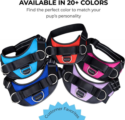 Essential Dog Harness, No-Pull Pet Vest (Oceanic Blue,S) | 3 Leash Clips, Easy On, No-Choke, Reflective, Adjustable Fit, Padded Comfort, Control Handle, For Small, Medium & Large Dogs