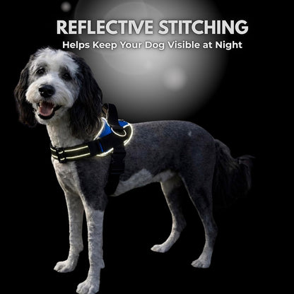 Essential Dog Harness, No-Pull Pet Vest (Oceanic Blue,S) | 3 Leash Clips, Easy On, No-Choke, Reflective, Adjustable Fit, Padded Comfort, Control Handle, For Small, Medium & Large Dogs
