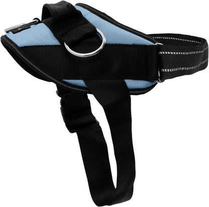Essential Dog Harness, No-Pull Pet Vest (Oceanic Blue,S) | 3 Leash Clips, Easy On, No-Choke, Reflective, Adjustable Fit, Padded Comfort, Control Handle, For Small, Medium & Large Dogs