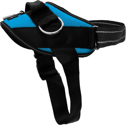 Essential Dog Harness, No-Pull Pet Vest (Oceanic Blue,S) | 3 Leash Clips, Easy On, No-Choke, Reflective, Adjustable Fit, Padded Comfort, Control Handle, For Small, Medium & Large Dogs