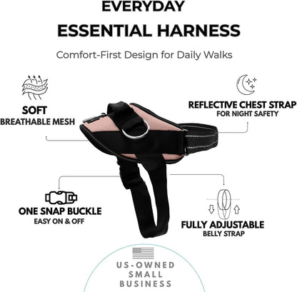 Essential Dog Harness, No-Pull Pet Vest (Oceanic Blue,S) | 3 Leash Clips, Easy On, No-Choke, Reflective, Adjustable Fit, Padded Comfort, Control Handle, For Small, Medium & Large Dogs