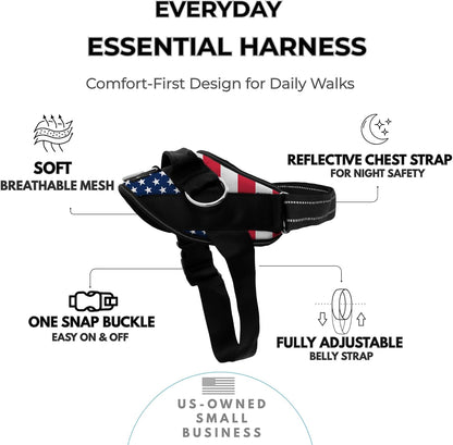 Essential Dog Harness, No-Pull Pet Vest (Oceanic Blue,S) | 3 Leash Clips, Easy On, No-Choke, Reflective, Adjustable Fit, Padded Comfort, Control Handle, For Small, Medium & Large Dogs