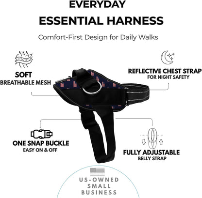 Essential Dog Harness, No-Pull Pet Vest (Oceanic Blue,S) | 3 Leash Clips, Easy On, No-Choke, Reflective, Adjustable Fit, Padded Comfort, Control Handle, For Small, Medium & Large Dogs