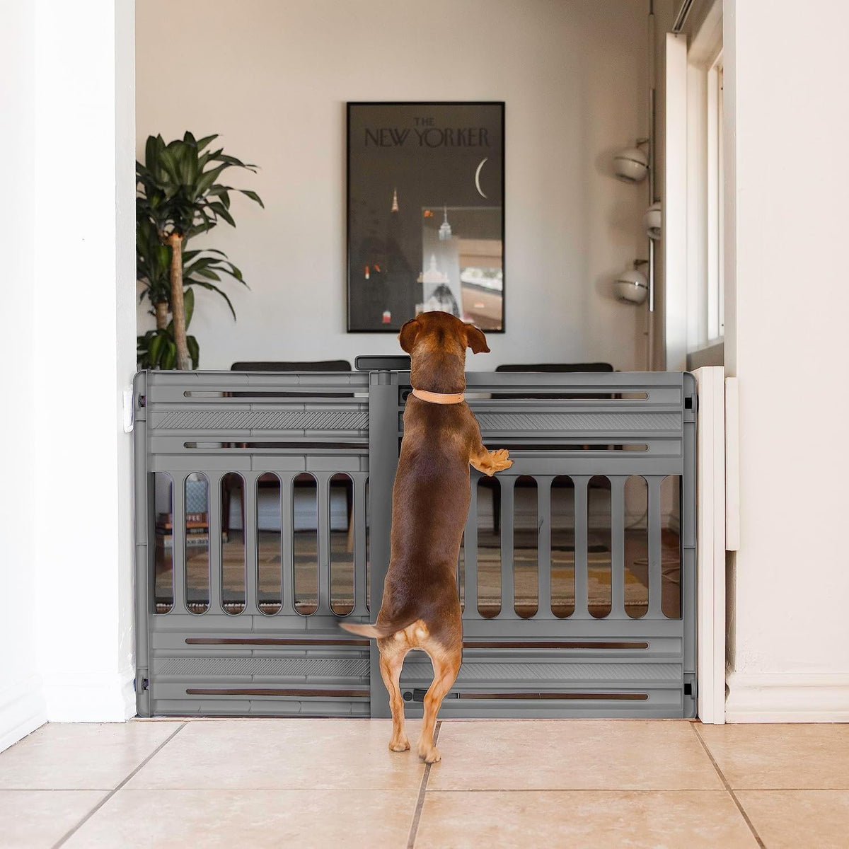 Pet Gate, Adjustable Width, Gray