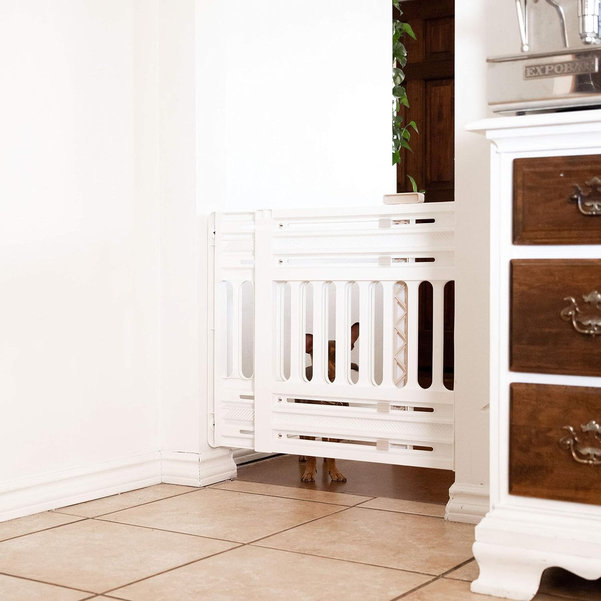Pet Gate, Adjustable Width, Gray