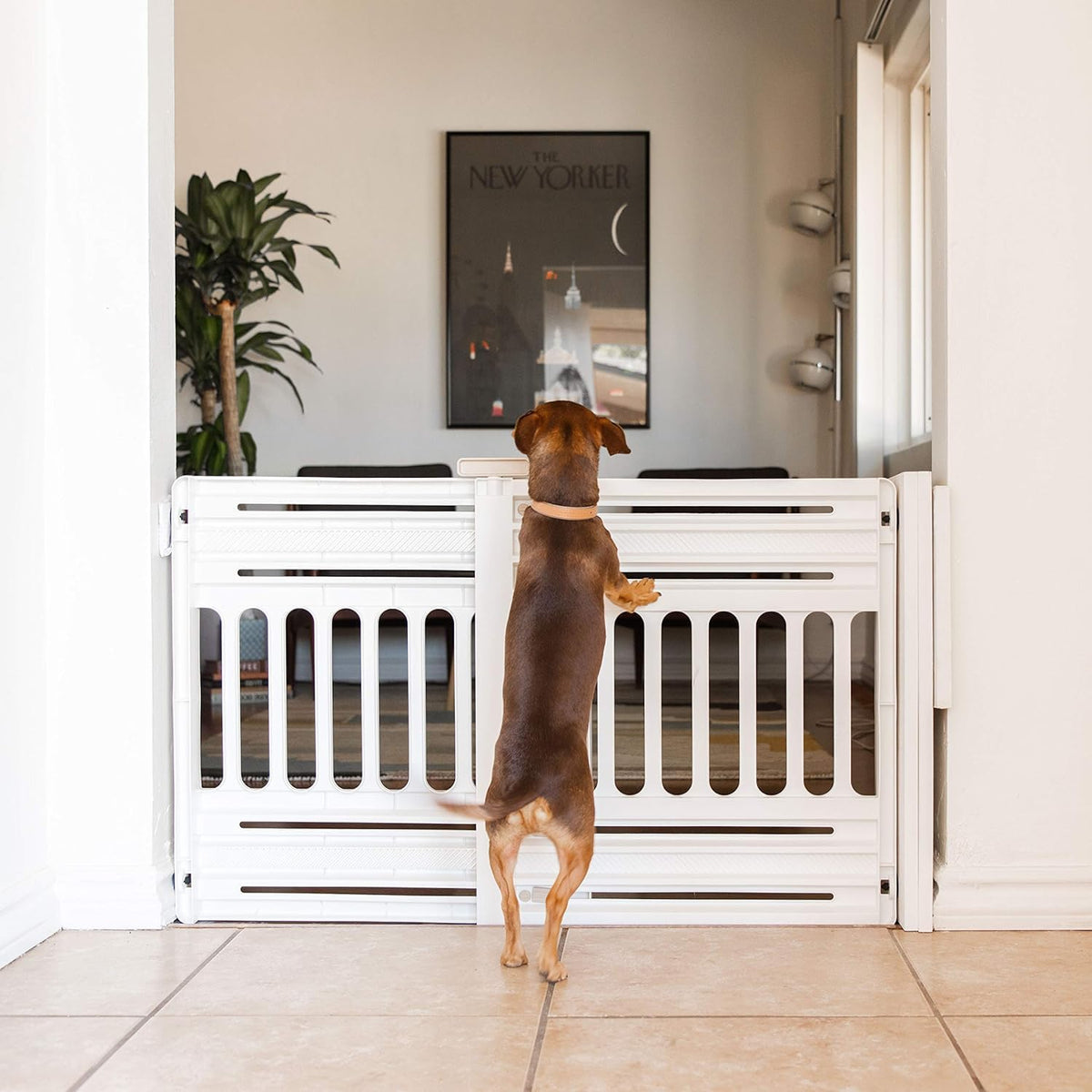 Pet Gate, Adjustable Width, Gray