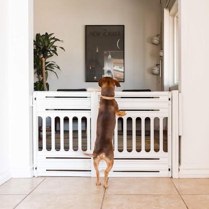 Pet Gate, Adjustable Width, Gray