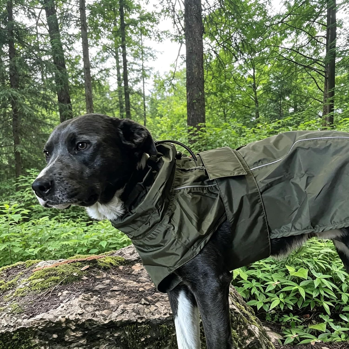 Waterproof Dog Raincoat, Adjustable Lightweight Dog Rain Jacket with Reflective Strip Leash Hole for Small Medium Large Dogs (Pink, Small(9-13lb))