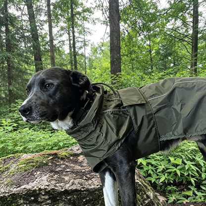 Waterproof Dog Raincoat, Adjustable Lightweight Dog Rain Jacket with Reflective Strip Leash Hole for Small Medium Large Dogs (Pink, Small(9-13lb))