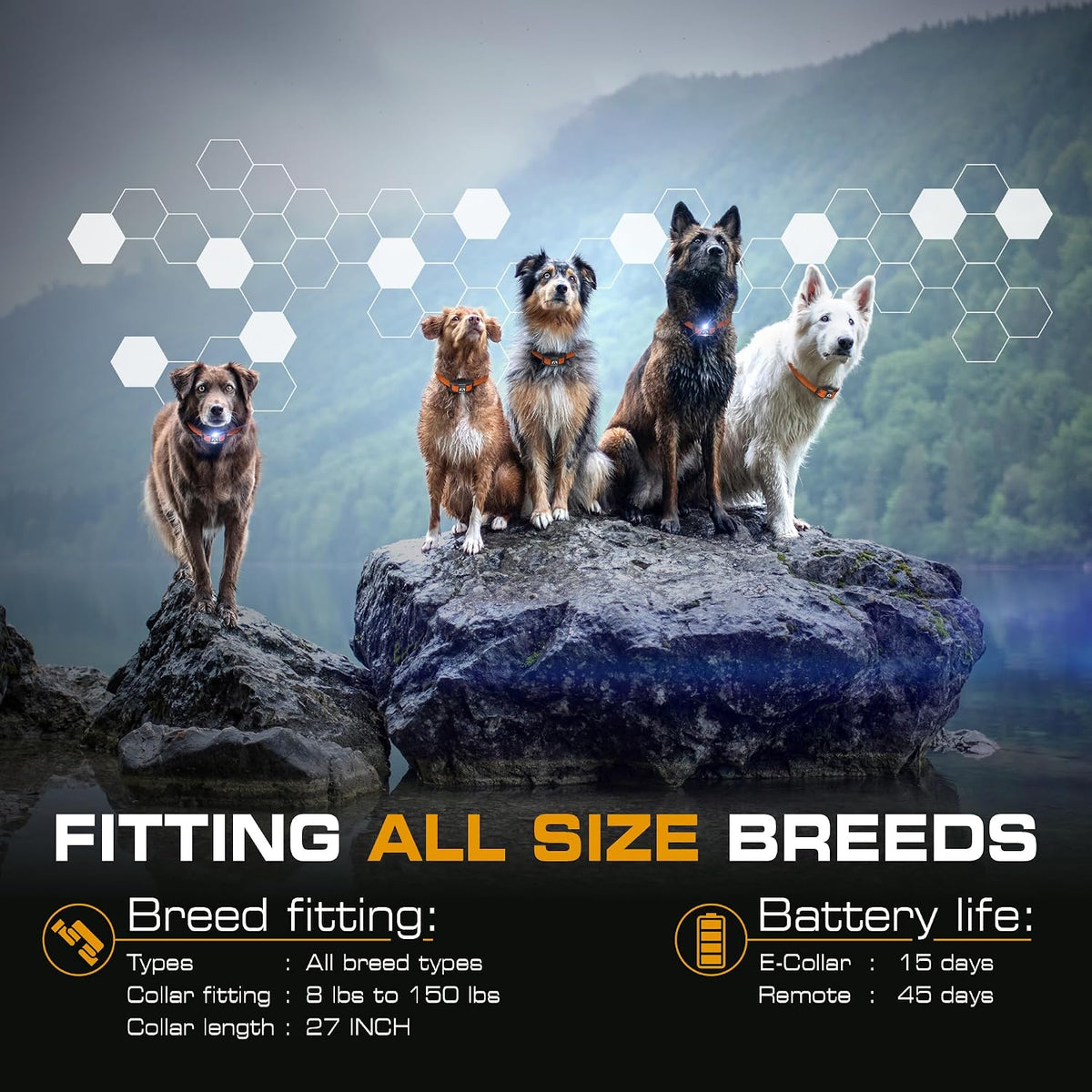 Ultra K9 Dog Training Collar with Remote, 124 Levels E Collar