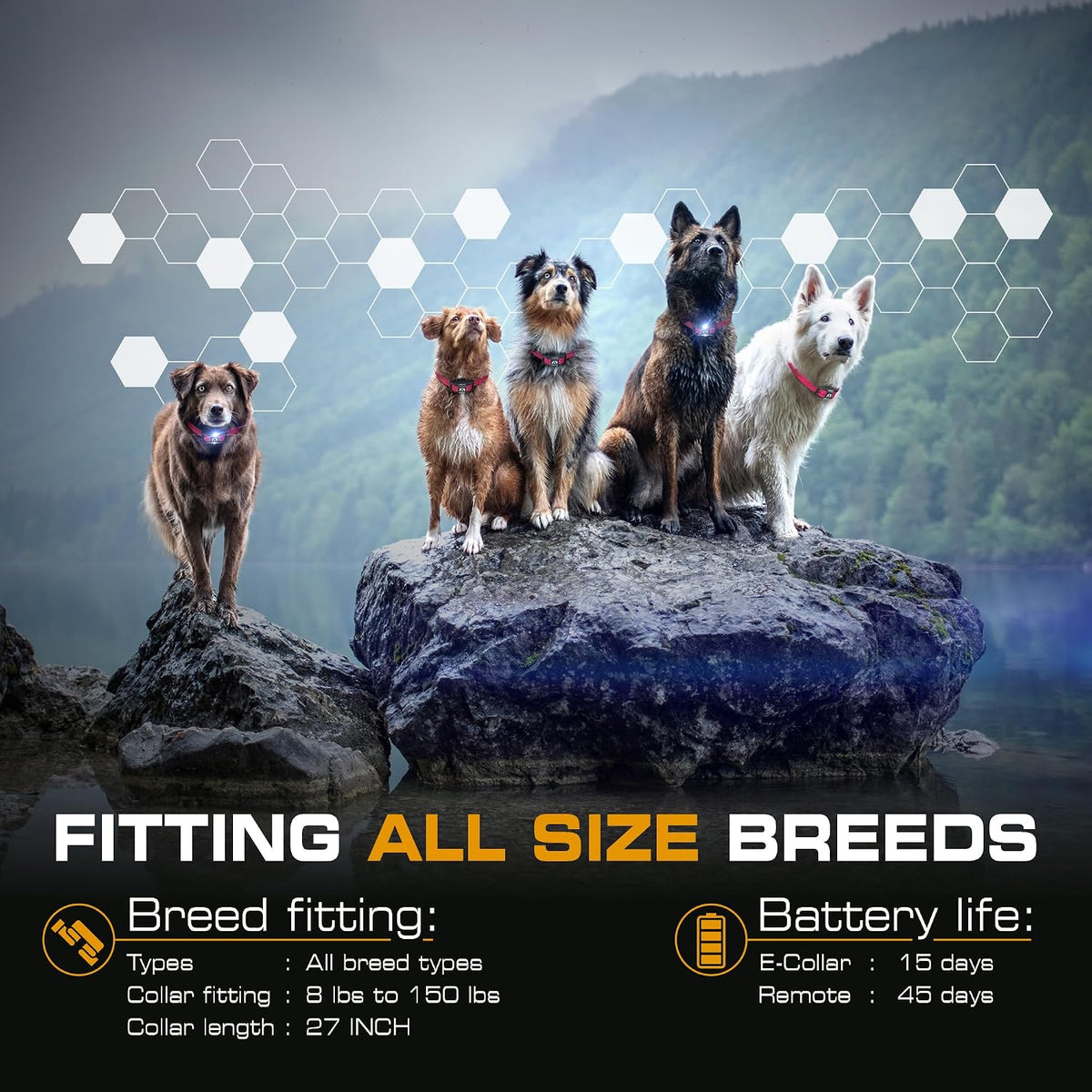 Ultra K9 Dog Training Collar with Remote, 124 Levels E Collar