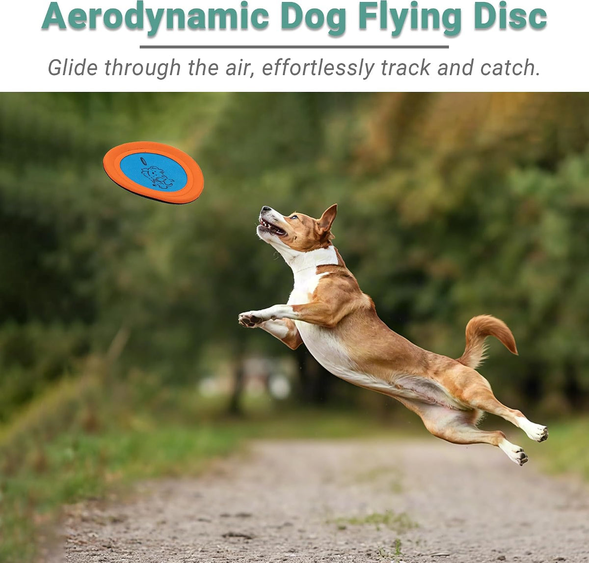 3 Packs Nylon Interactive Dog Flying Disc - Floating Dog Toys for Aggressive chewers - Water Toys for Dogs (Blue and Yellow)