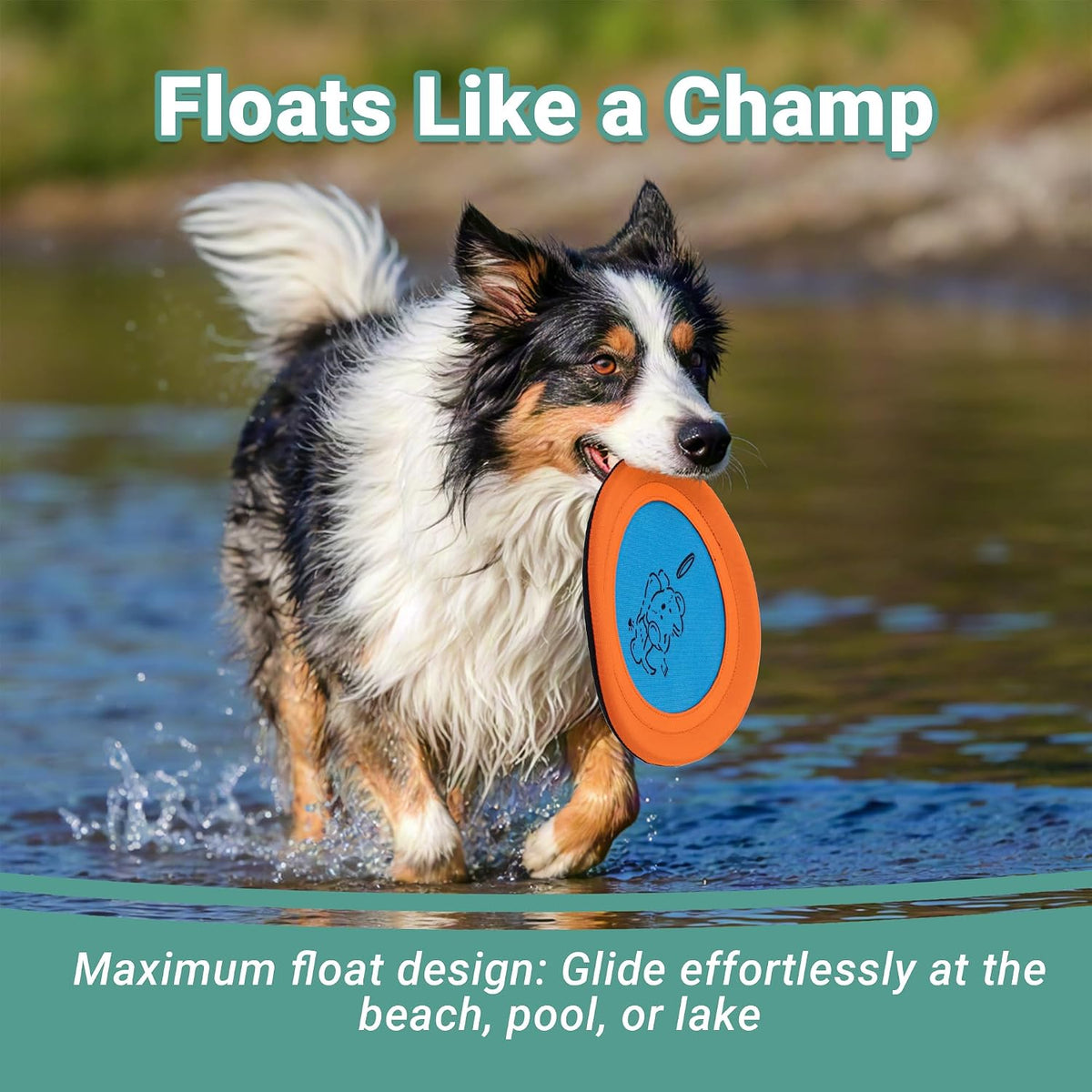 3 Packs Nylon Interactive Dog Flying Disc - Floating Dog Toys for Aggressive chewers - Water Toys for Dogs (Blue and Yellow)