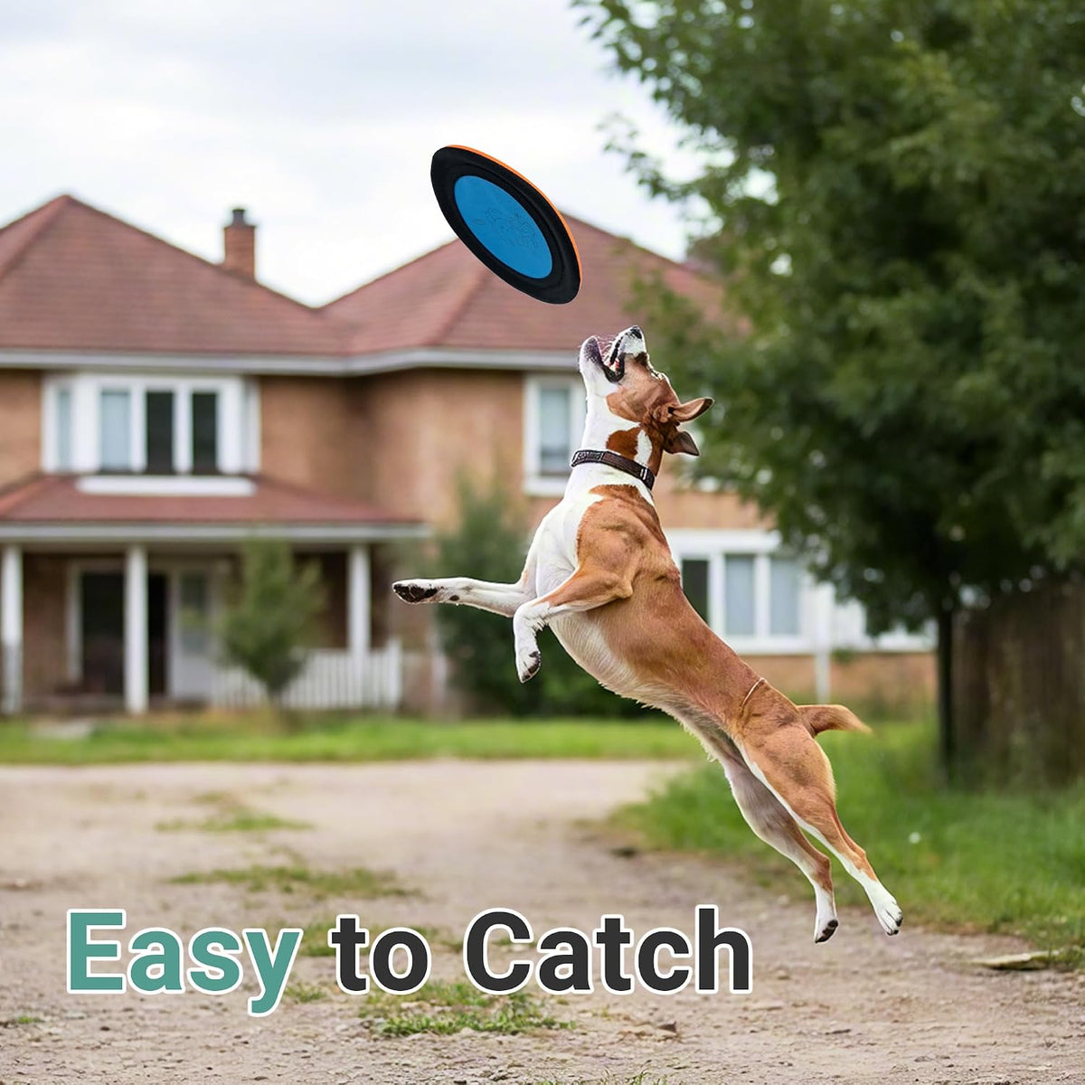 3 Packs Nylon Interactive Dog Flying Disc - Floating Dog Toys for Aggressive chewers - Water Toys for Dogs (Blue and Yellow)