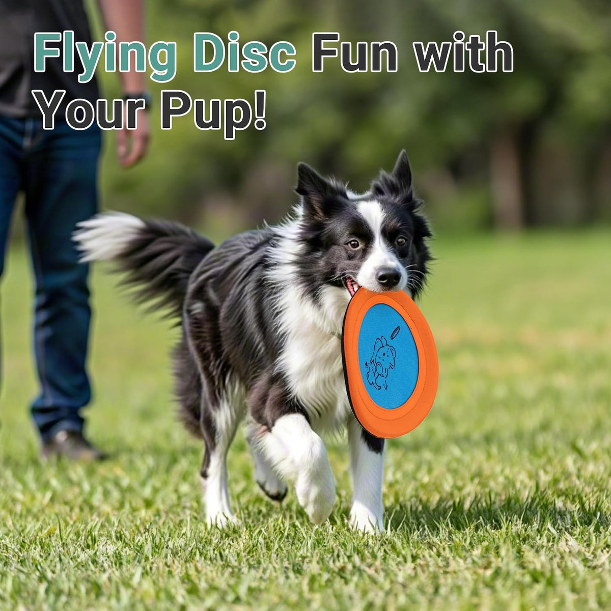 3 Packs Nylon Interactive Dog Flying Disc - Floating Dog Toys for Aggressive chewers - Water Toys for Dogs (Blue and Yellow)