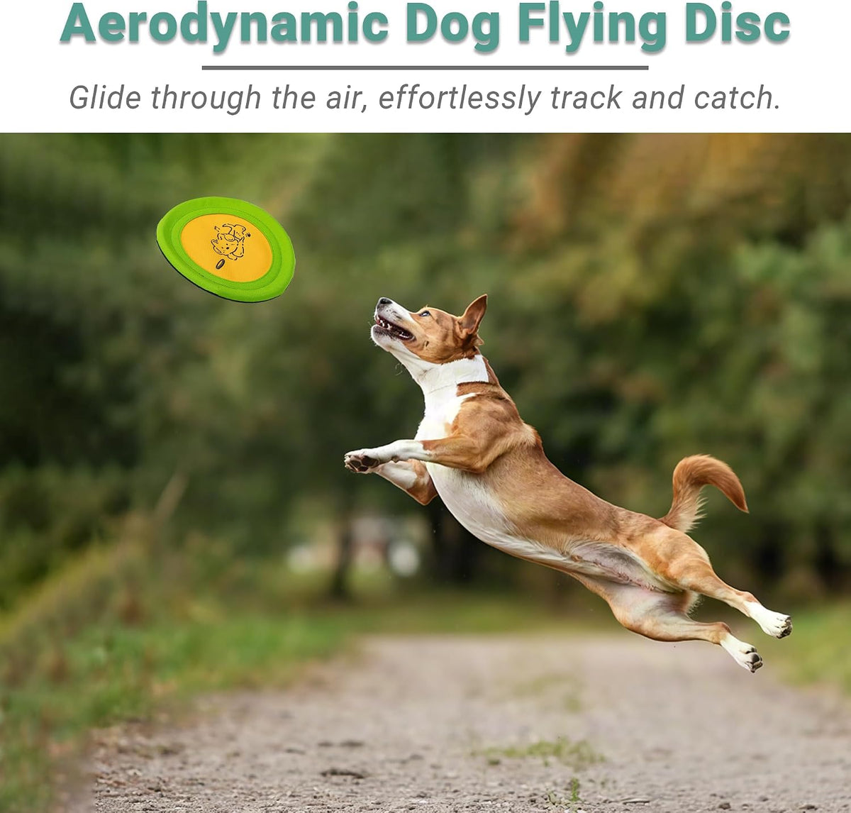 3 Packs Nylon Interactive Dog Flying Disc - Floating Dog Toys for Aggressive chewers - Water Toys for Dogs (Blue and Yellow)