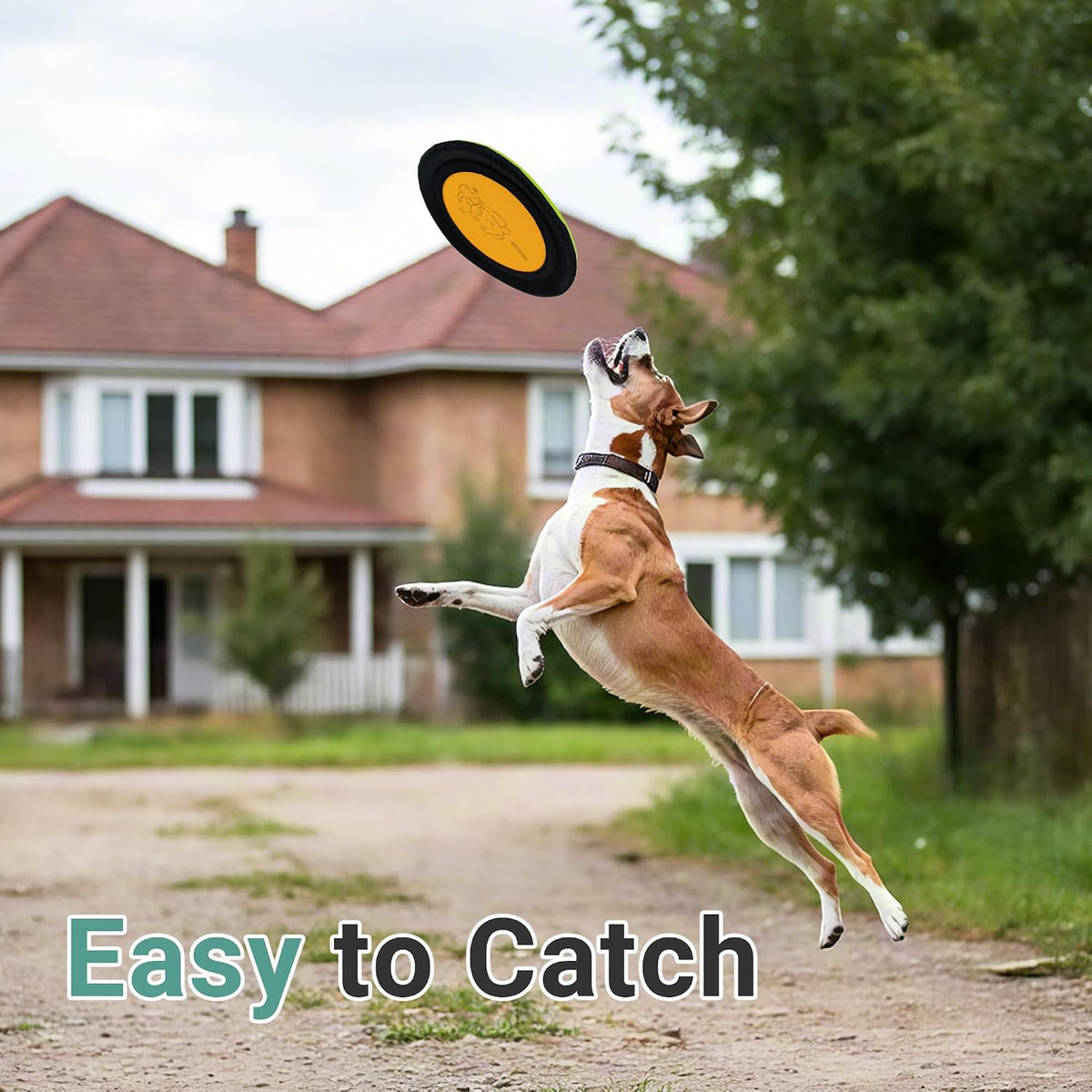 3 Packs Nylon Interactive Dog Flying Disc - Floating Dog Toys for Aggressive chewers - Water Toys for Dogs (Blue and Yellow)