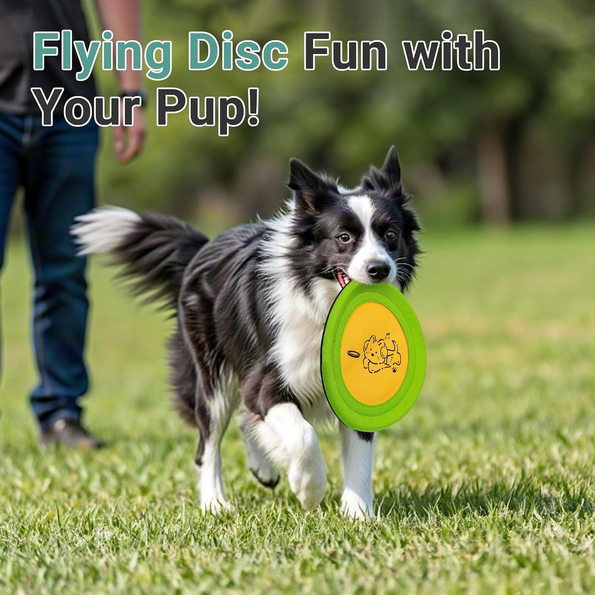 3 Packs Nylon Interactive Dog Flying Disc - Floating Dog Toys for Aggressive chewers - Water Toys for Dogs (Blue and Yellow)