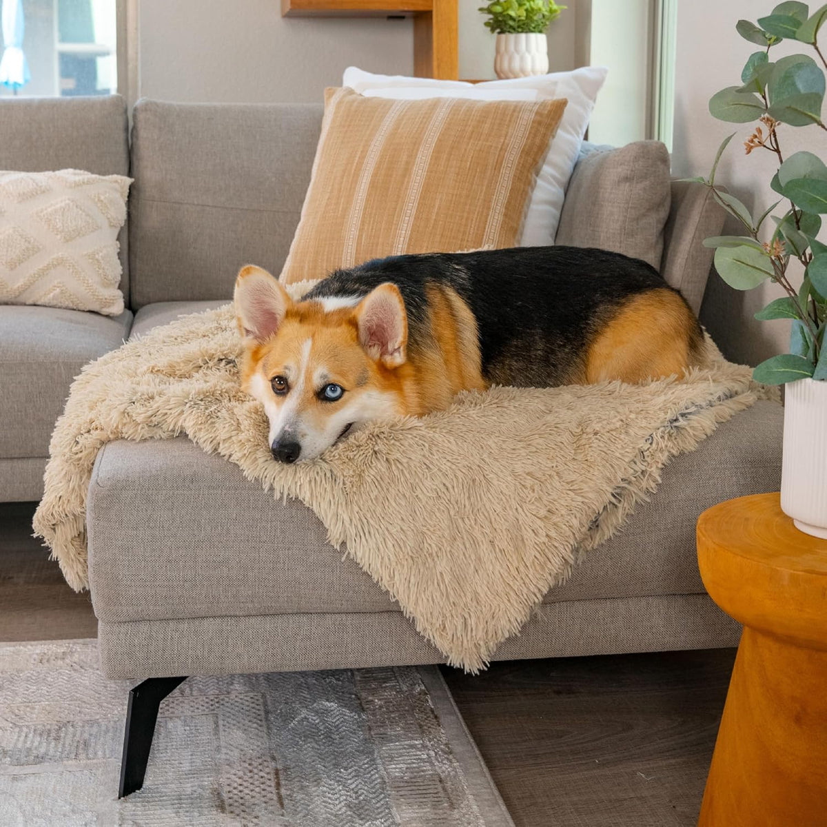 Dog Blanket, Shag Faux Fur, Taupe, 30" x 40"