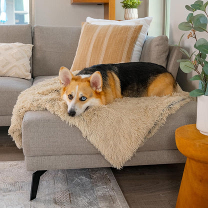 Dog Blanket, Shag Faux Fur, Taupe, 30" x 40"