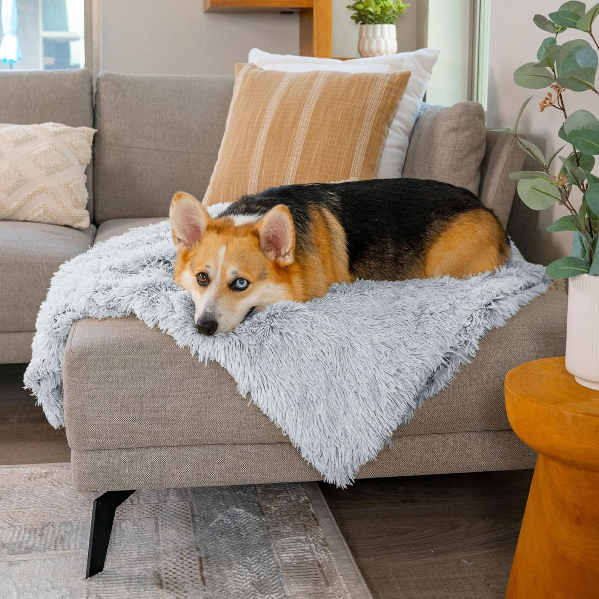Dog Blanket, Shag Faux Fur, Taupe, 30" x 40"